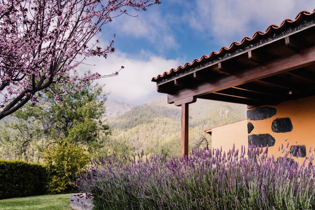 Casa Elena Villa Tijarafe Eksteriør billede